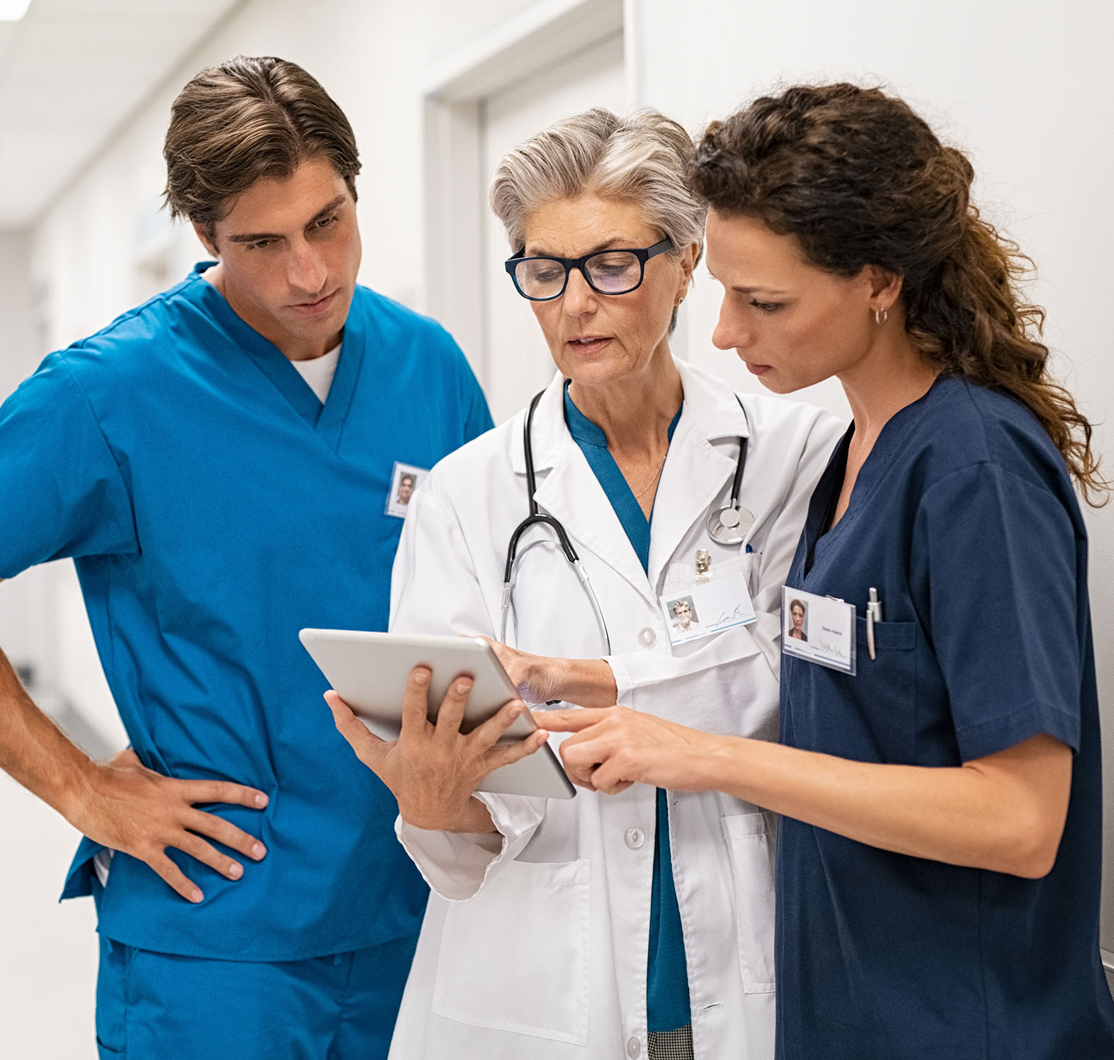 Distributors Distributors